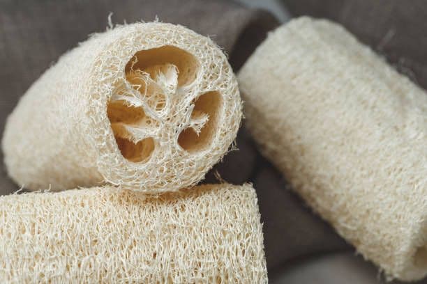 Spugna di Luffa: L'alternativa vegetale che cresce nell'orto
